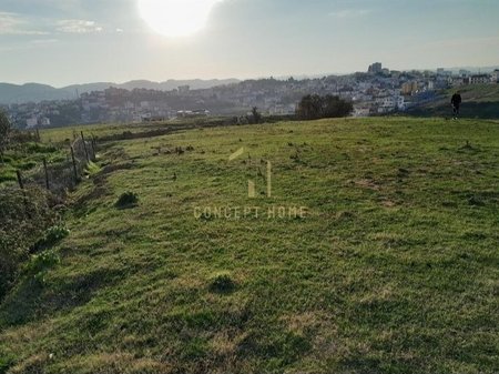 Shitet toke ne Farke.