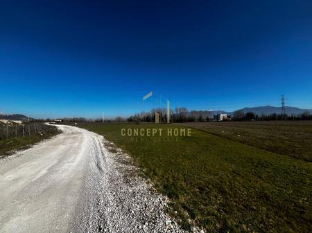 Shitet toke ne rrugen e Rinasit