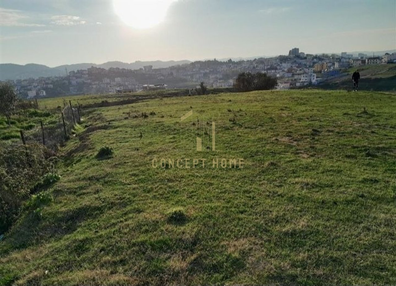 Shitet toke ne Farke.