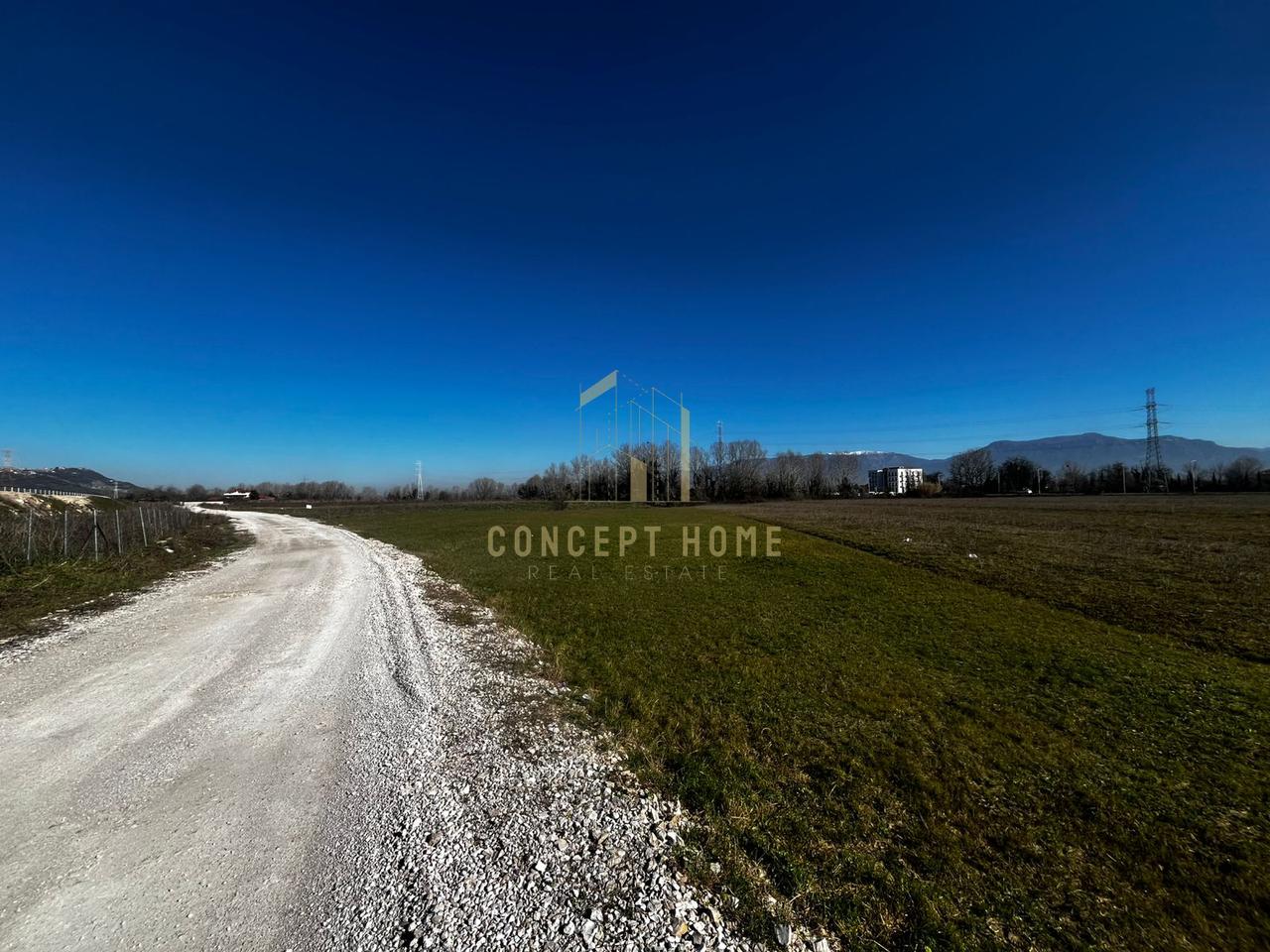 Shitet toke ne rrugen e Rinasit