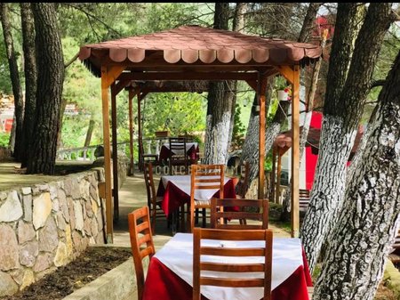 Bar Restaurant for rent, on Dajti Street