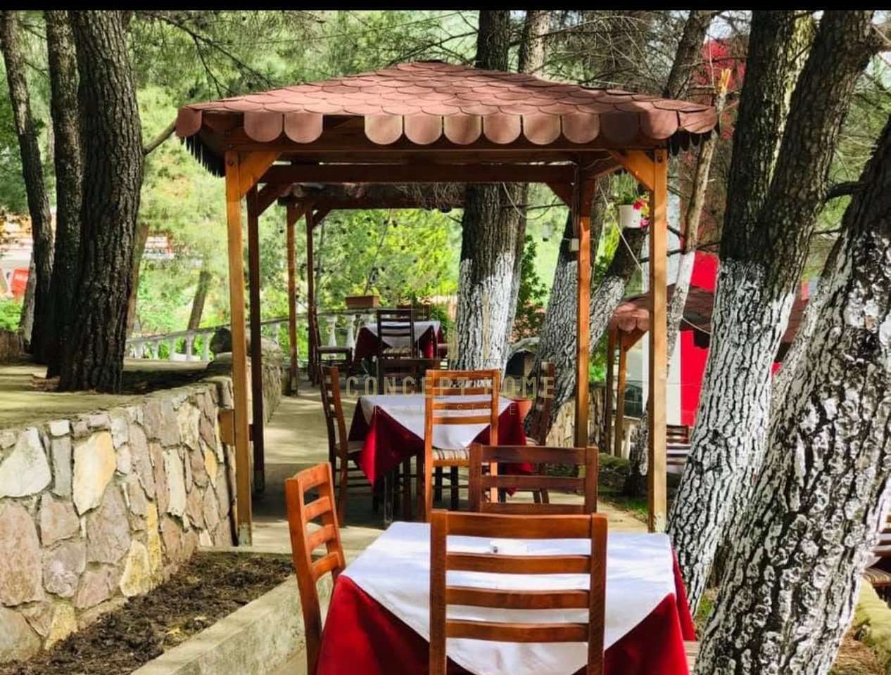 Bar Restaurant for rent, on Dajti Street