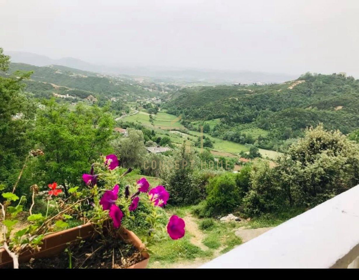 Bar Restaurant for rent, on Dajti Street