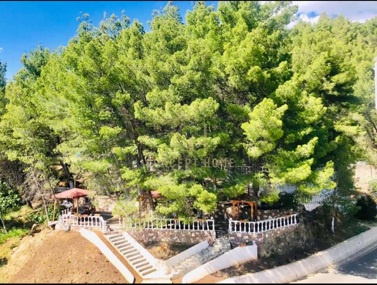 Bar Restaurant for rent, on Dajti Street