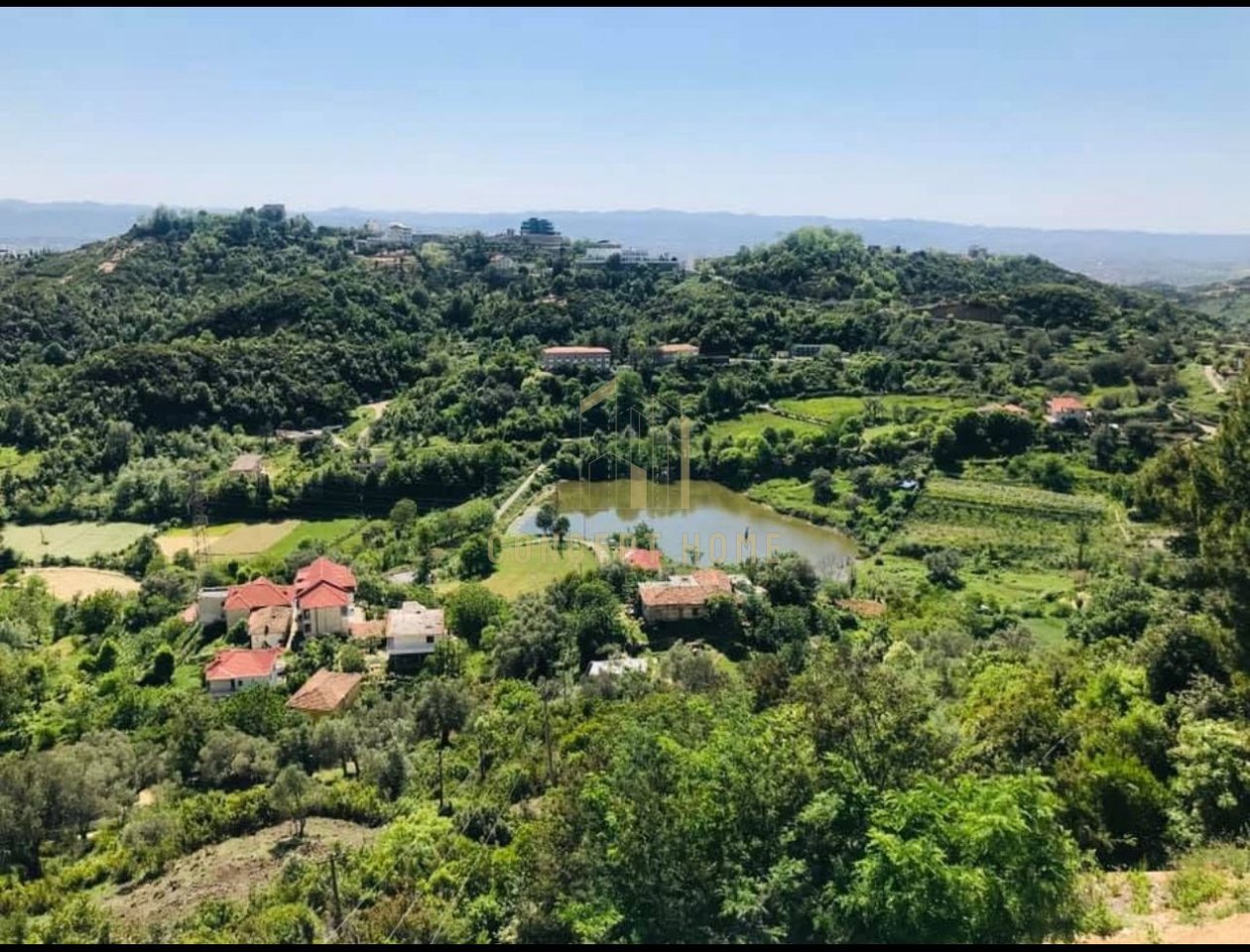 Bar Restaurant for rent, on Dajti Street