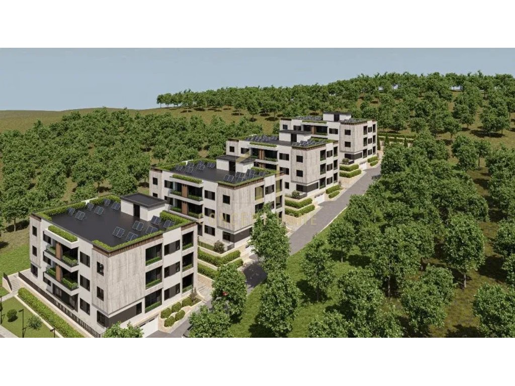 First slide