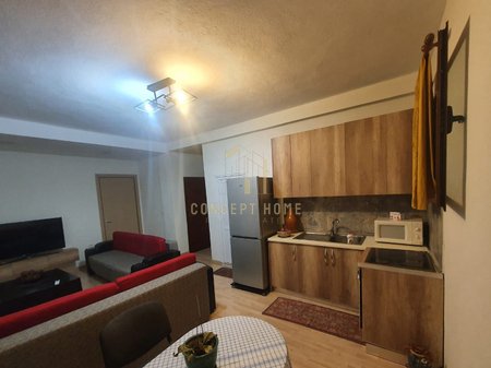 Appartamento 1+1 in affitto a Selit/Prezzo: 45.000 leke / Mese