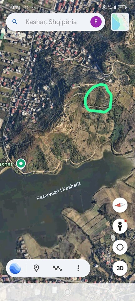 Shitet Toke tek Liqeni i Kasharit