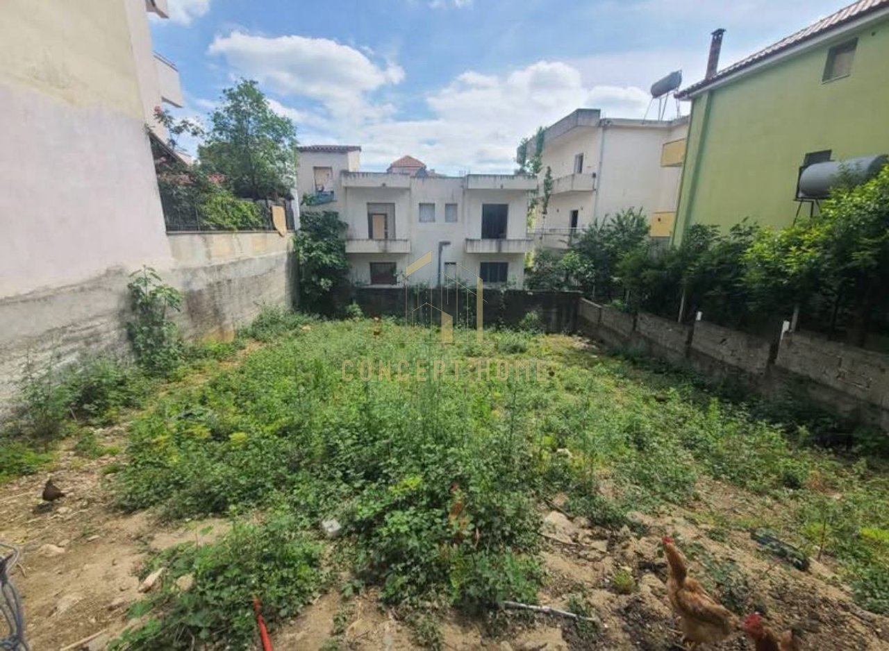 Shitet toke tek Kodra e Priftit