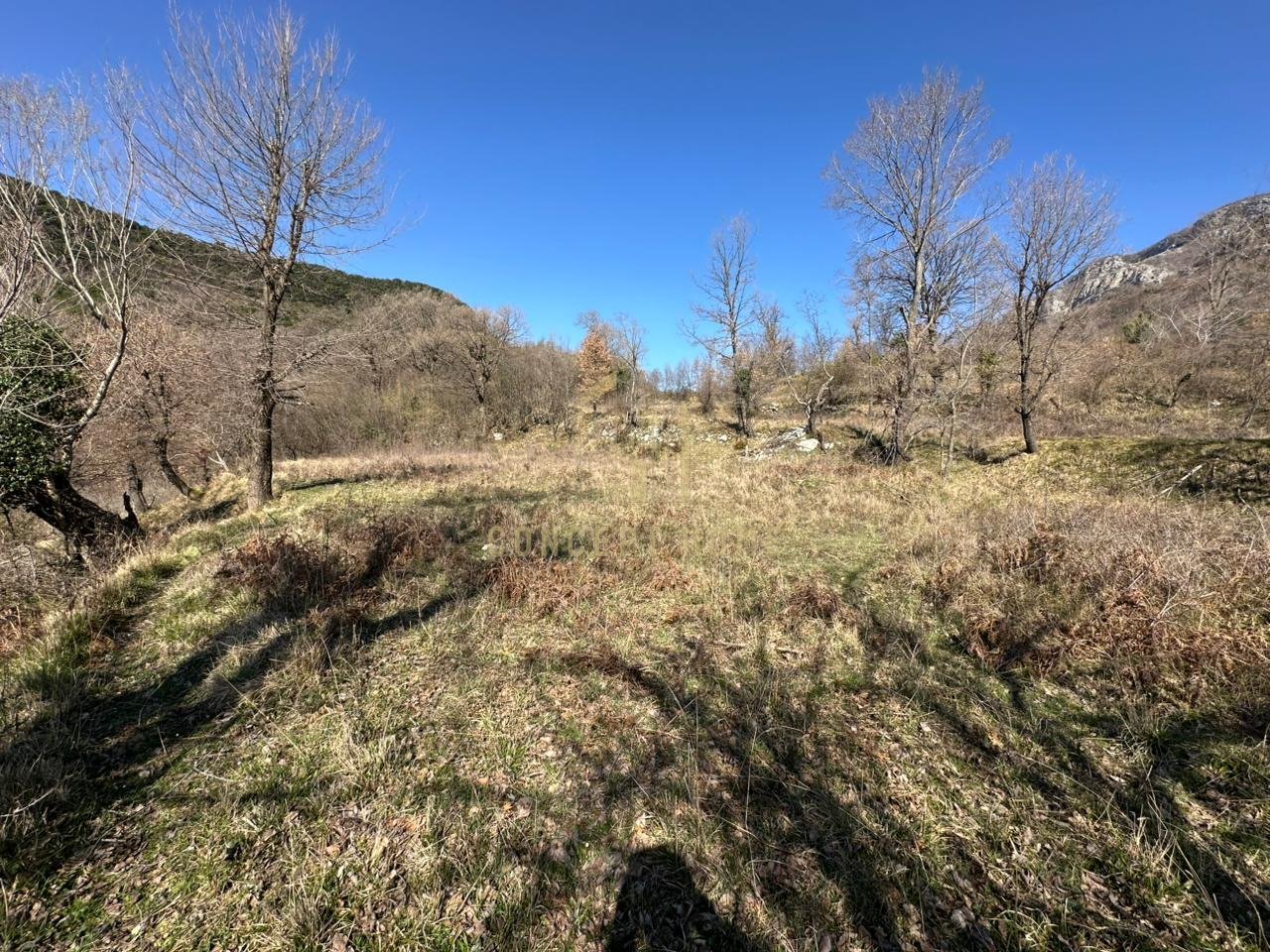 Tokë  Për Shitje në Linzë, Tiranë - 90,000€ | 1200 m²