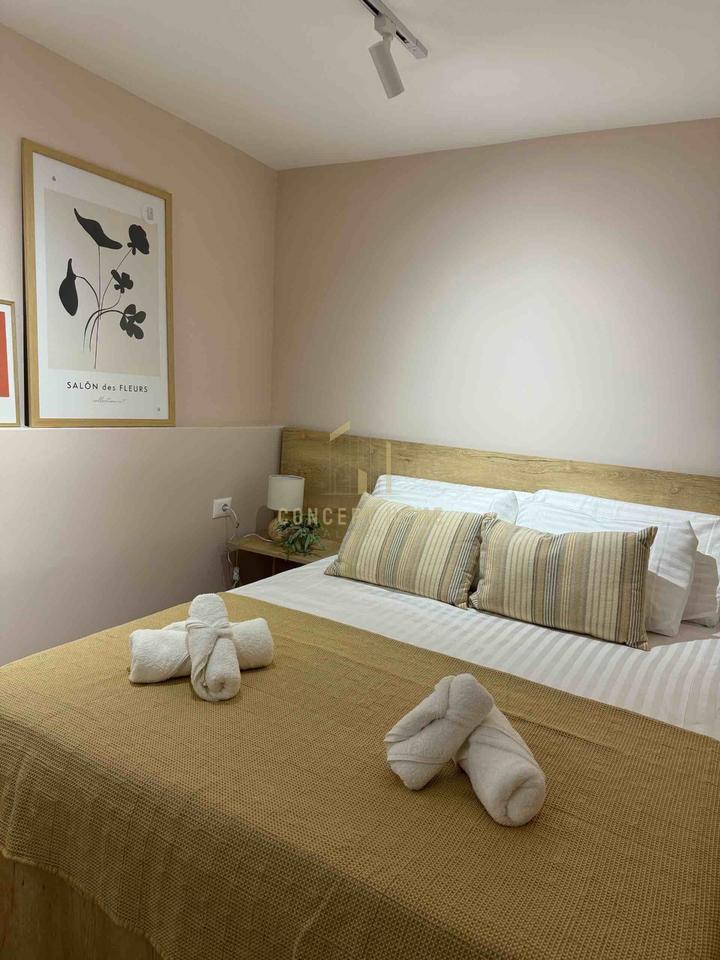 2+1 apartment for rent at Student City