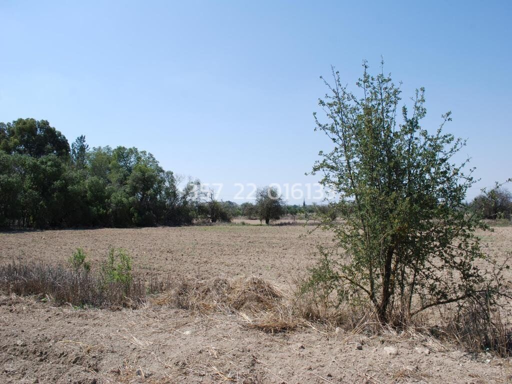 property-4