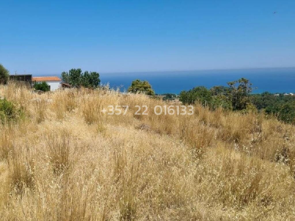 property-4