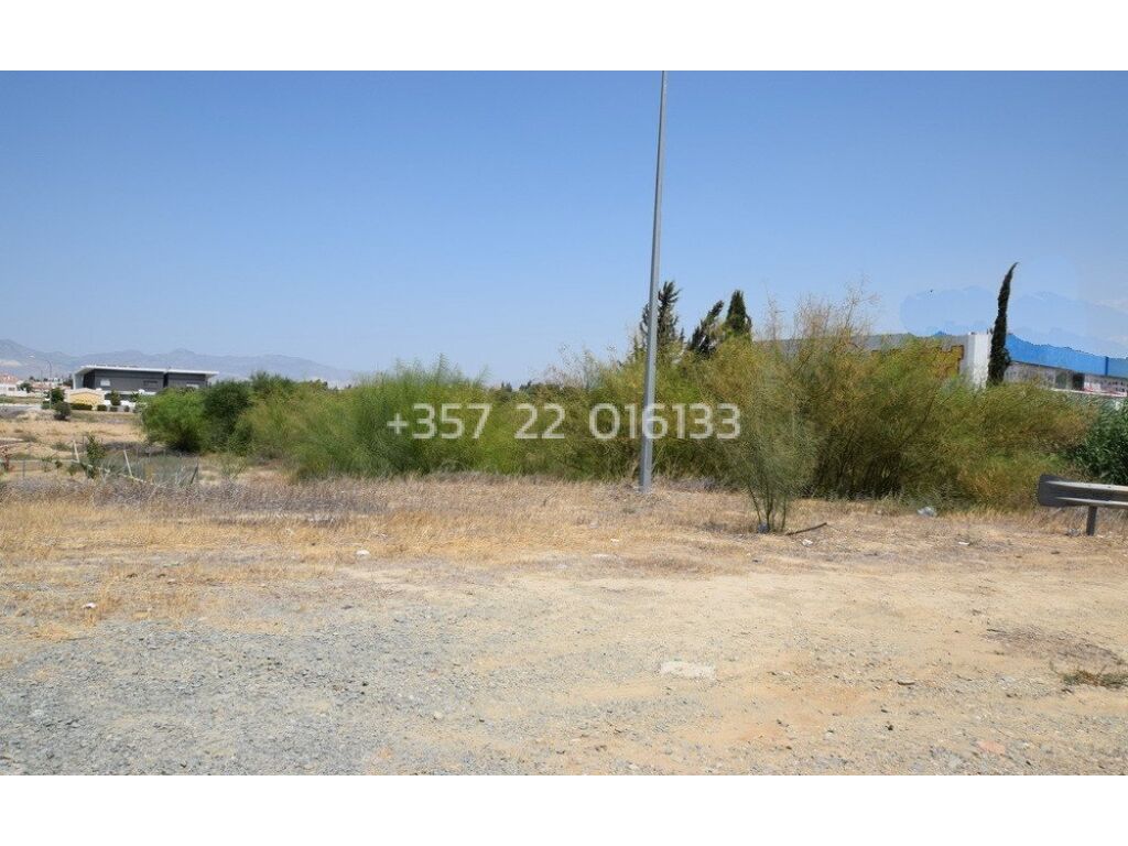 property-4