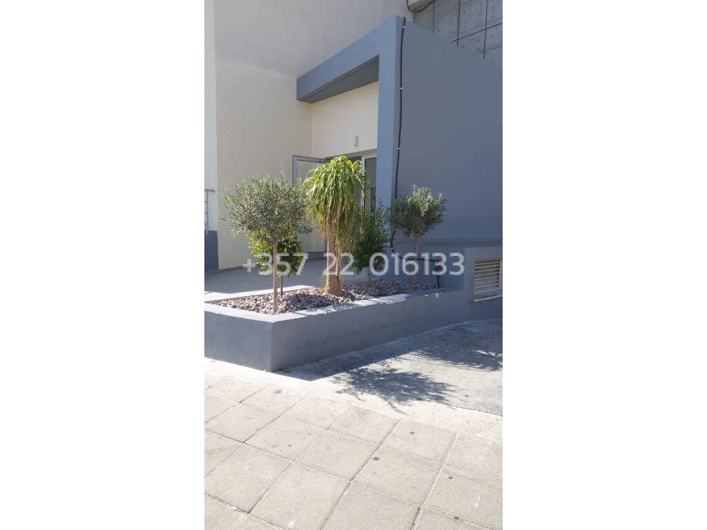 property-4