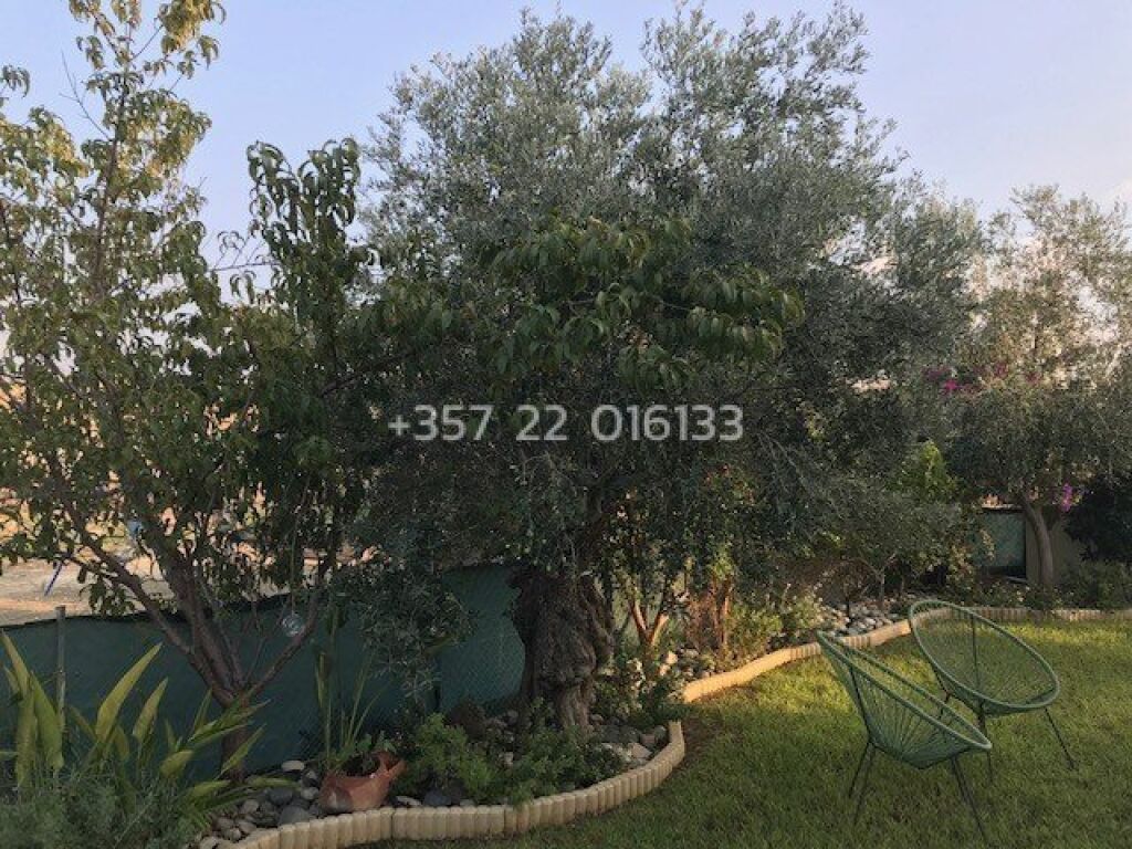 property-4