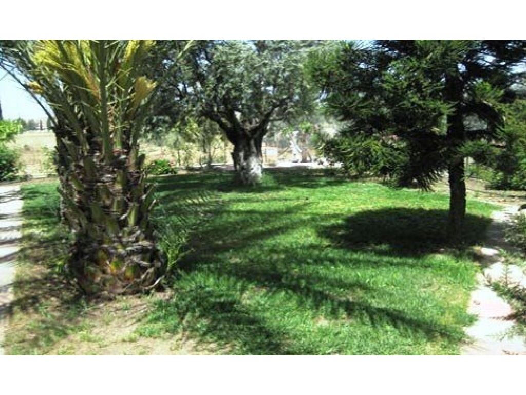 property-4