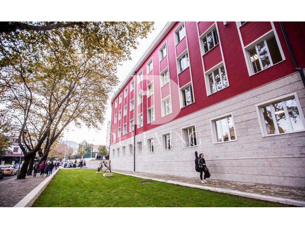 JEPET ME QIRA AMBIENT BIZNESI – LICEU ARTISTIK, BUZË RRUGE KRYESORE