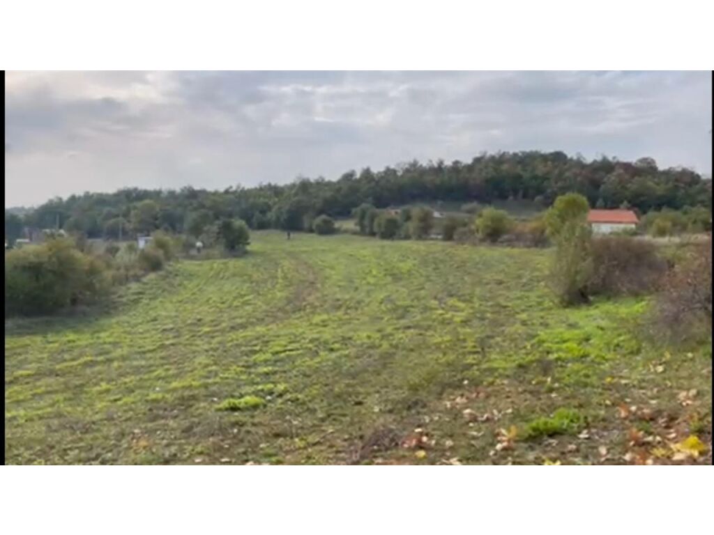 property-4