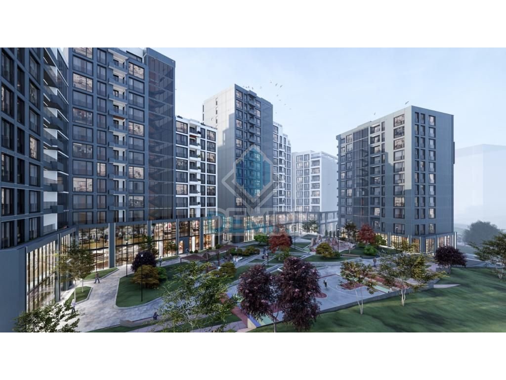 property-4