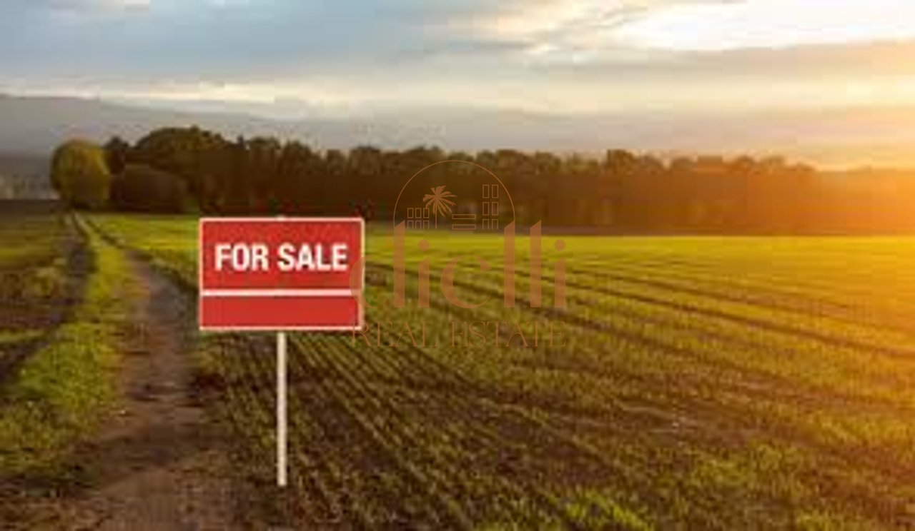 Land for Sale in Linze