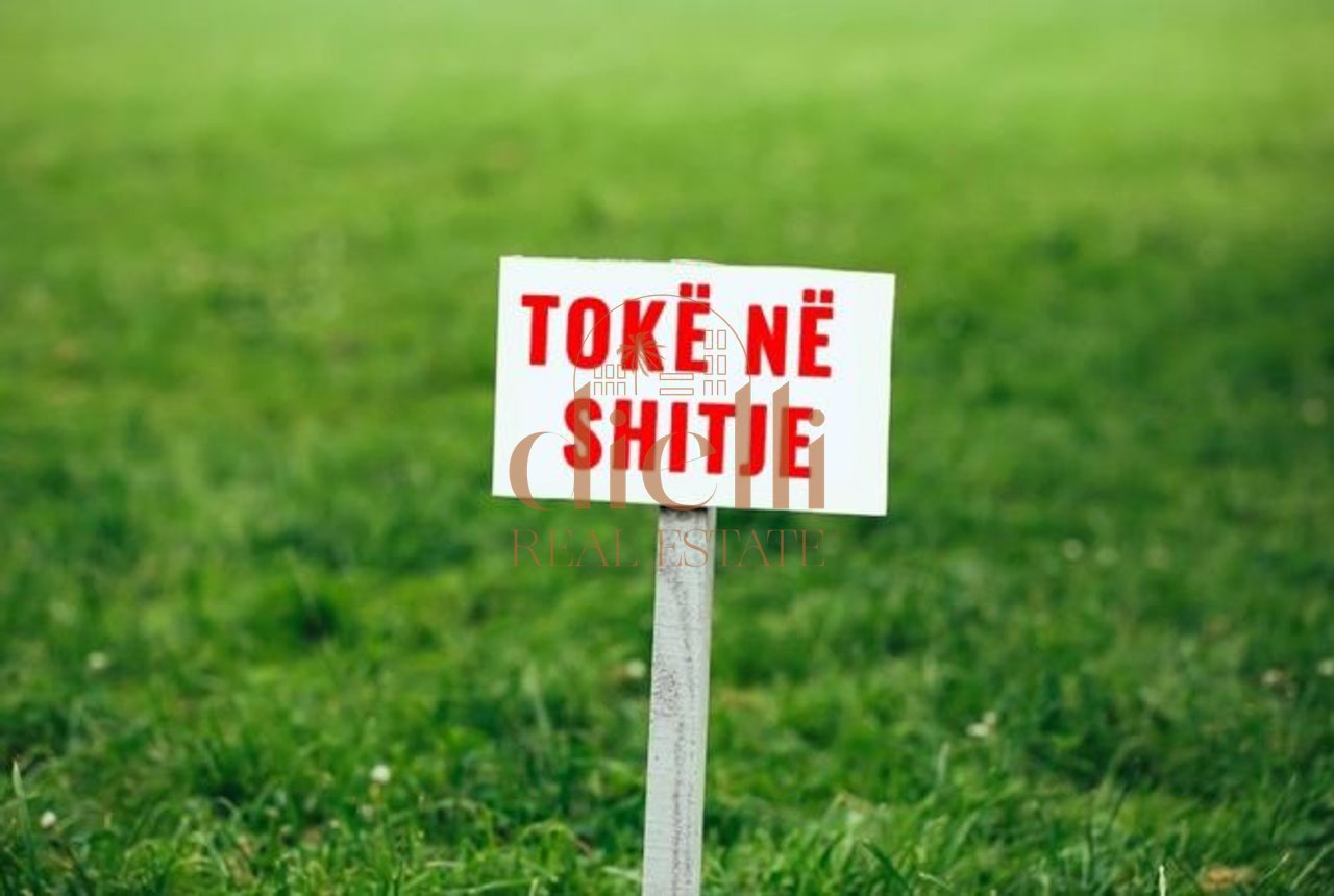 Toke per Shitje ne Kamez