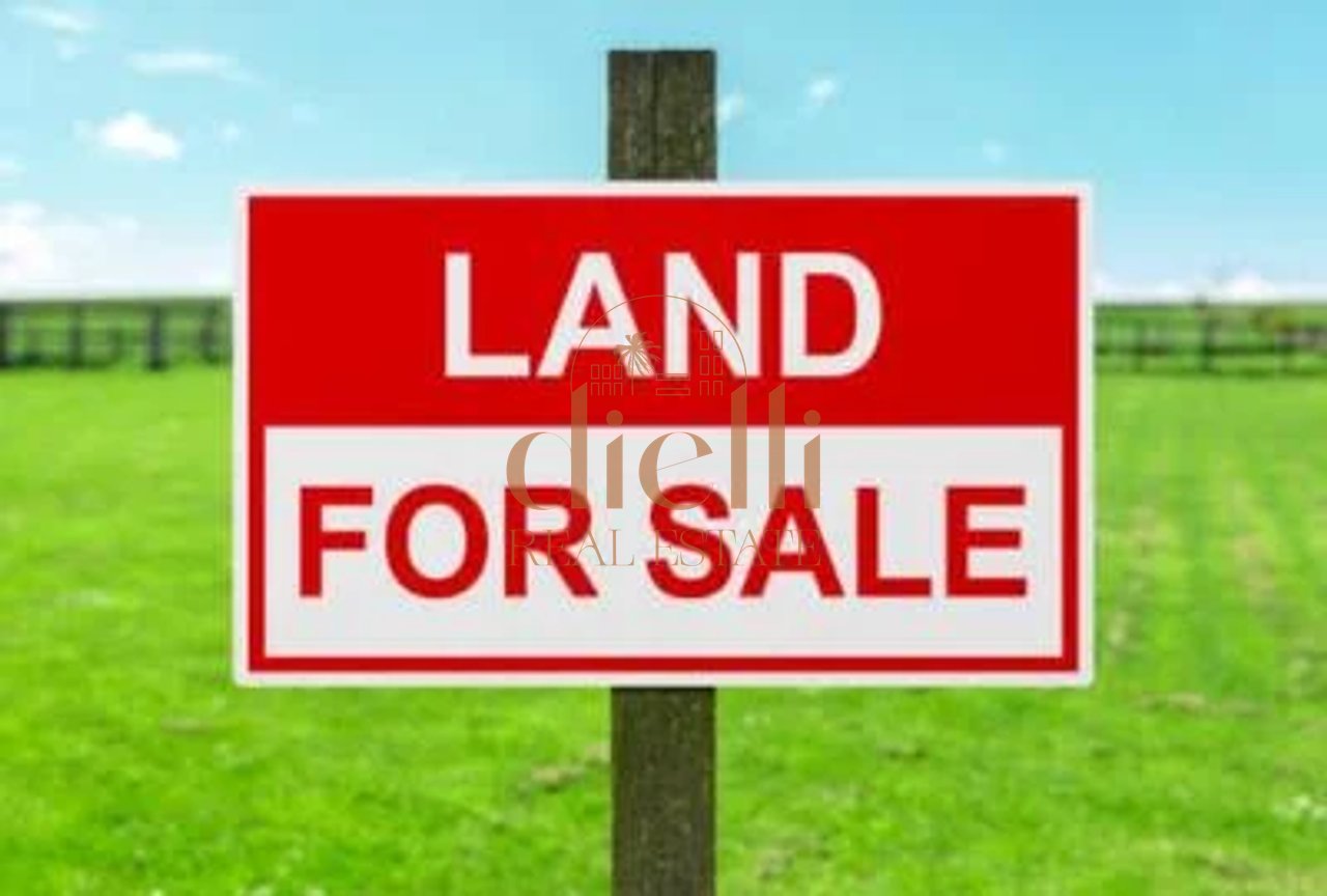 Okazion -Toke per Shitje ne Fushe Mamuras