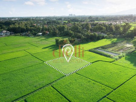 Okazion -Toke per shitje ne Fushe Mamuras