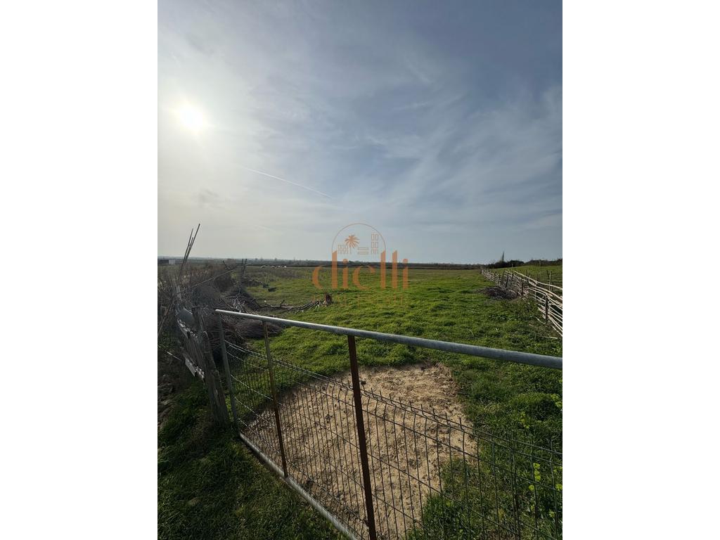 home-1