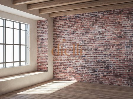 Ambient Zyrash per Qira prane Juridikut