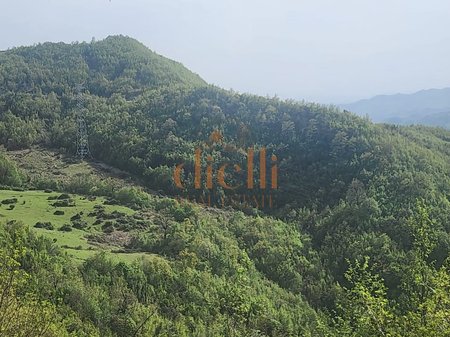 Toke per Shitje ne Berzhite