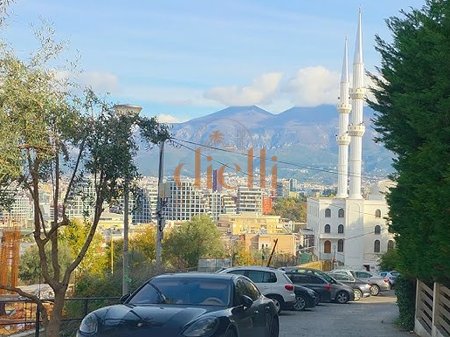 Shitet Biznesi Market ne Selite