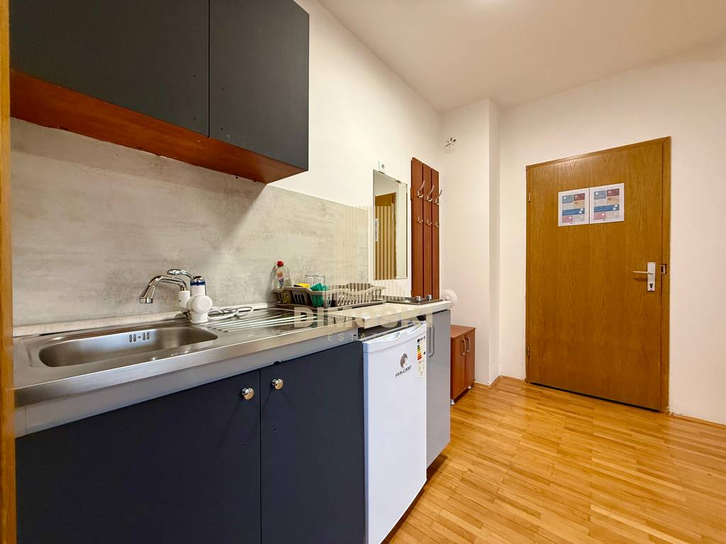 Се Издава Гарсоњера - Кисела Вода | Пелагонија