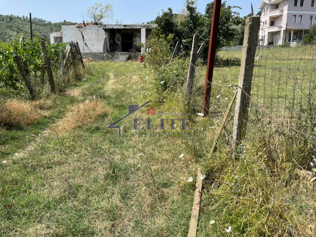 Mjull-Bathore, truall ne shitje