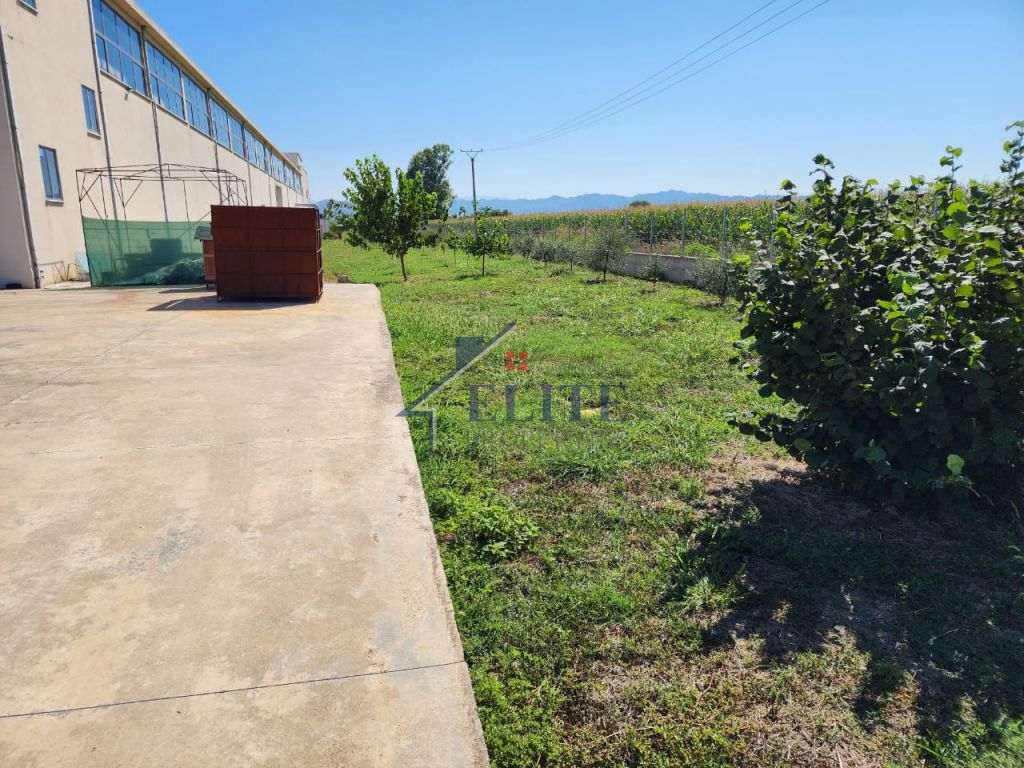 Warehouse for sale in Xhafzotaj