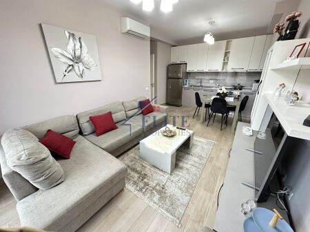 21 Dhjetori, apartament 2+1 me qira