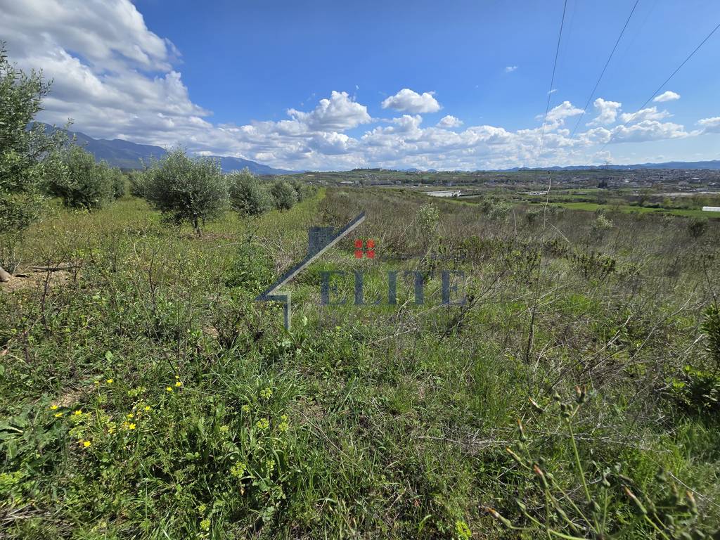 Zall Herr, tokë në shitje