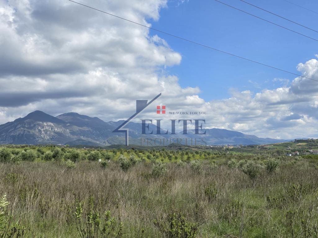 Zall Herr, tokë në shitje