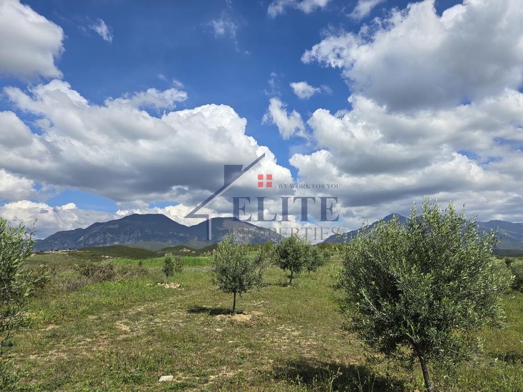 Zall Herr, tokë në shitje