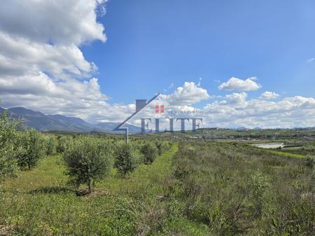 Zall Herr, tokë në shitje