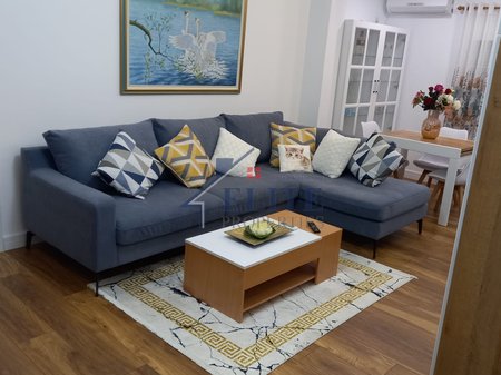 Tirane e Re, apartament 1+1 me qira