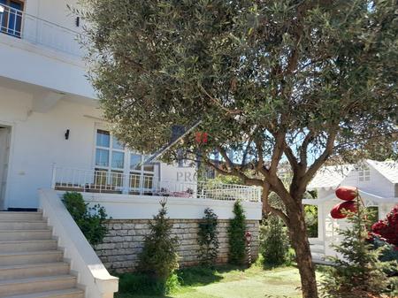 Allias, vile me qira