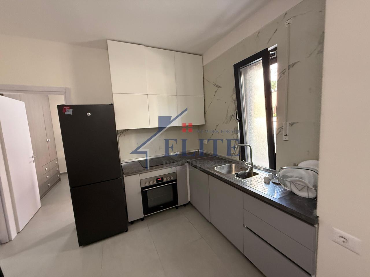 Kopshti Botanik, apartament 1+1 me qira
