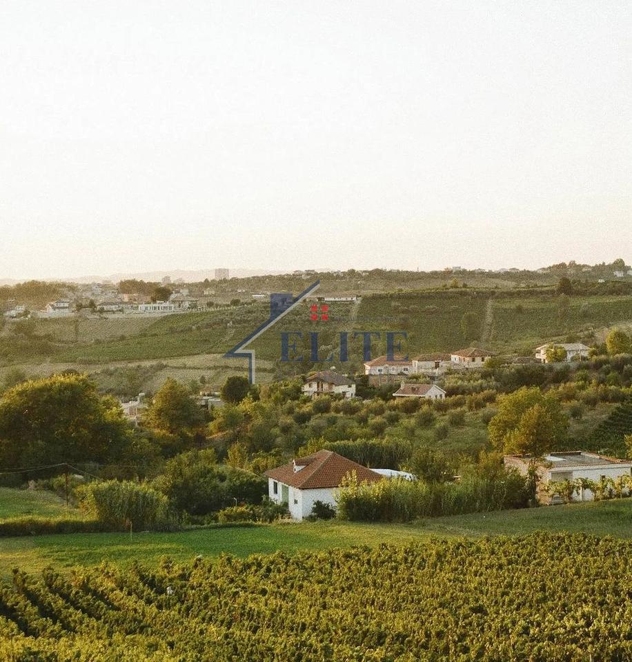 Daias, land for sale