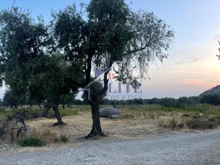 Borsh, land for sale