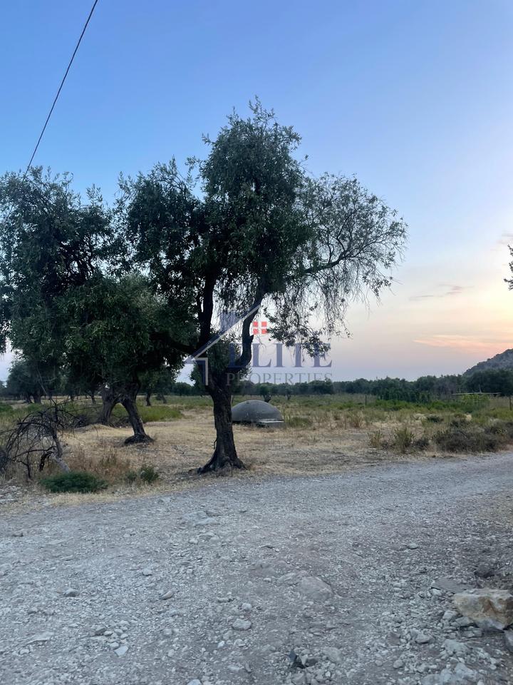 Borsh, land for sale