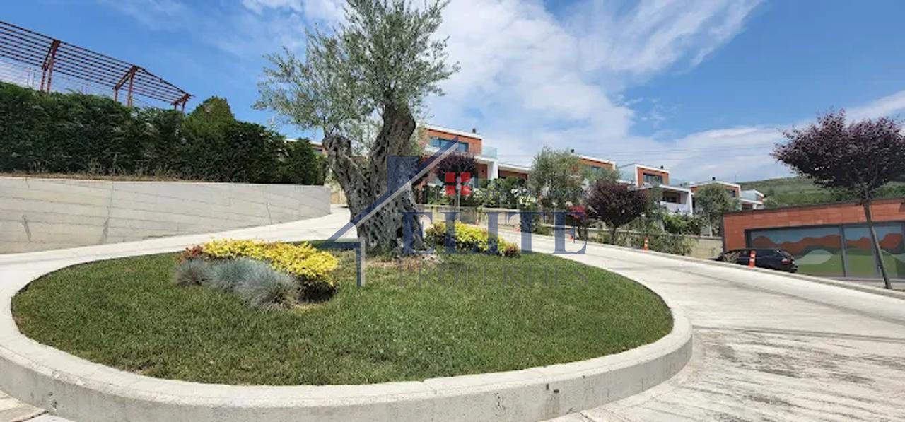 Residenza Olive Grove, villa in affitto