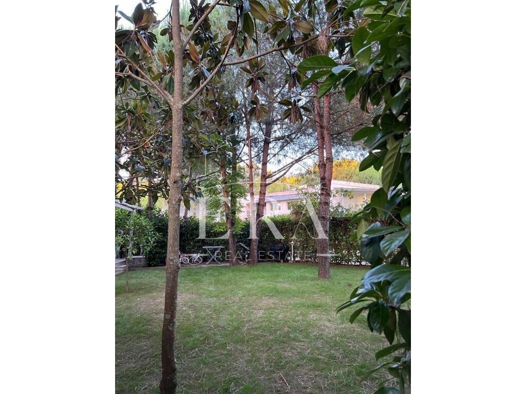 property-4