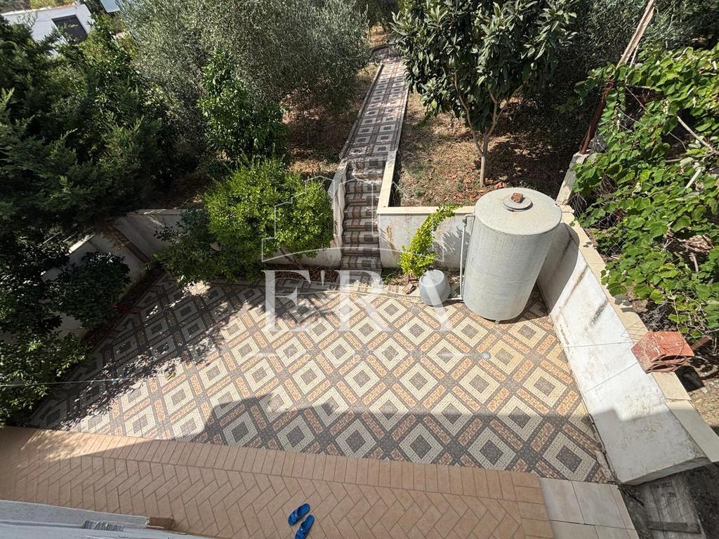 property-4