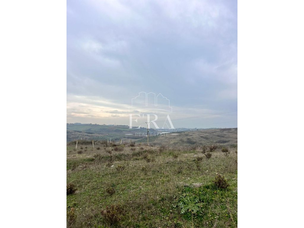 property-4